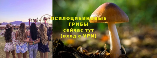 наркотики Абаза