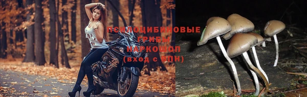 первитин Абдулино