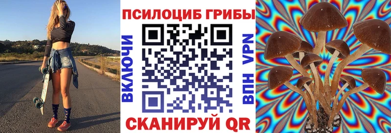 blacksprut ТОР Гаврилов Посад Псилоцибиновые грибы Psilocybe